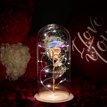 Rose Scintillante Enchantée